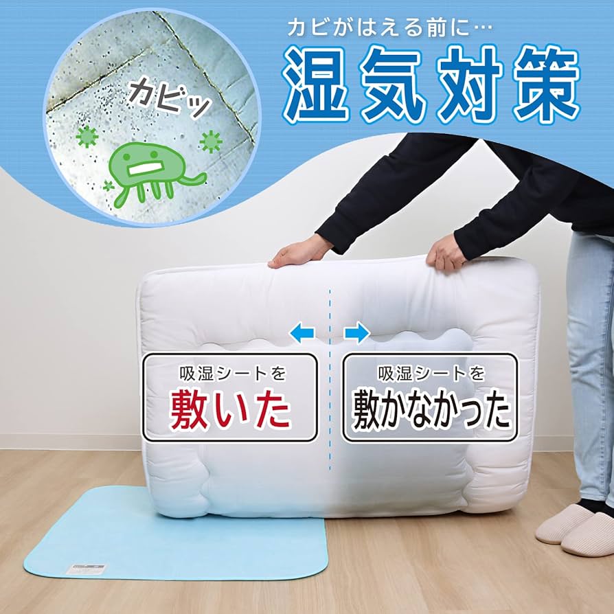 POLAポーラ♡ダニ除け除湿敷きマット（押入れ・収納用）2枚セット 000000124059-1.jpg